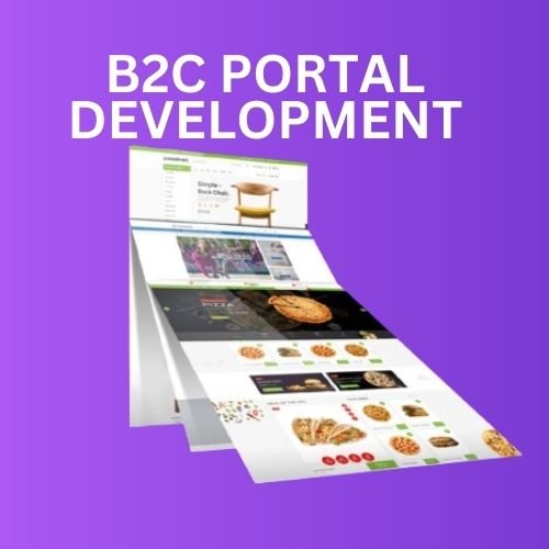 B2C Portal Development